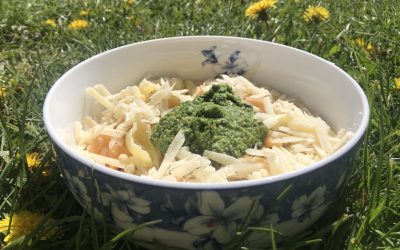 Fantastické pesto z česnáčku a medvědího česneku