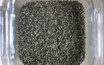 Kopřivový adaptogen – na sušení a použití během celého roku